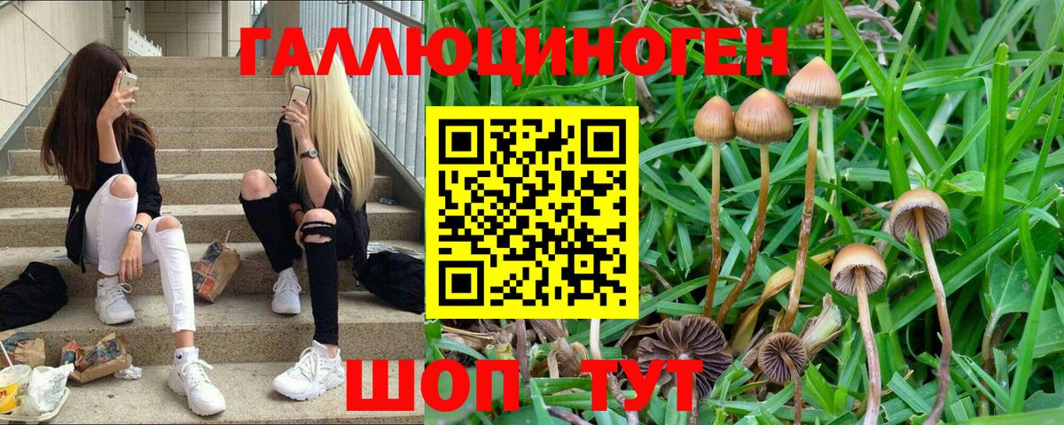 Галлюциногенные грибы MAGIC MUSHROOMS Протвино