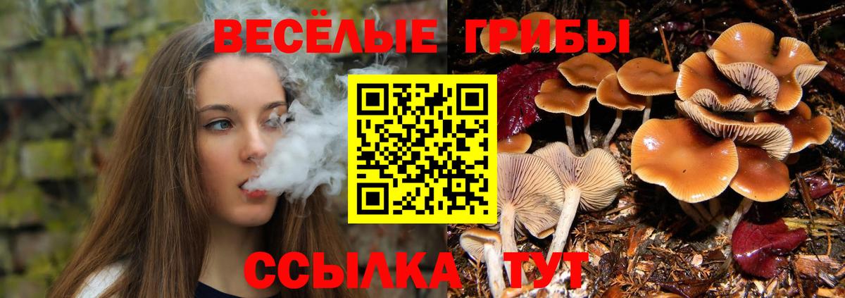 Галлюциногенные грибы ЛСД  Вход с VPN  наркотики  Протвино 